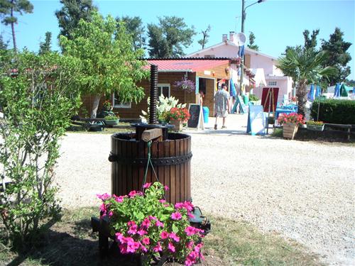 Camping Les Pins photo 5