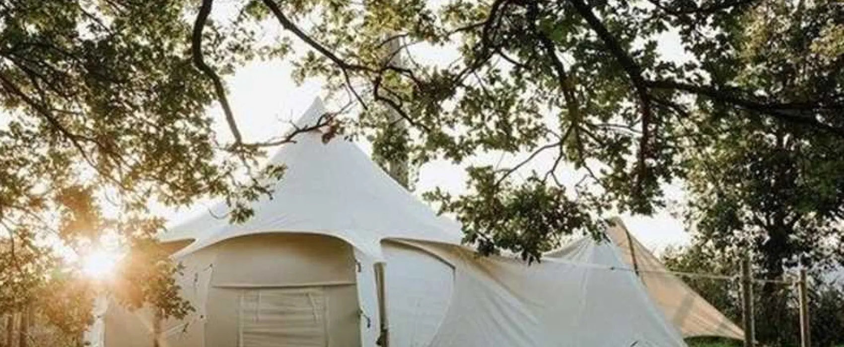 York House Caravan Park