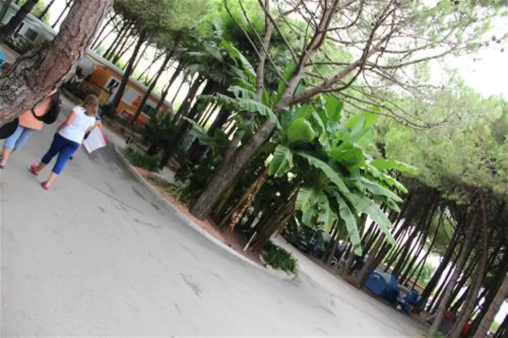 Campeggio Mediterraneo