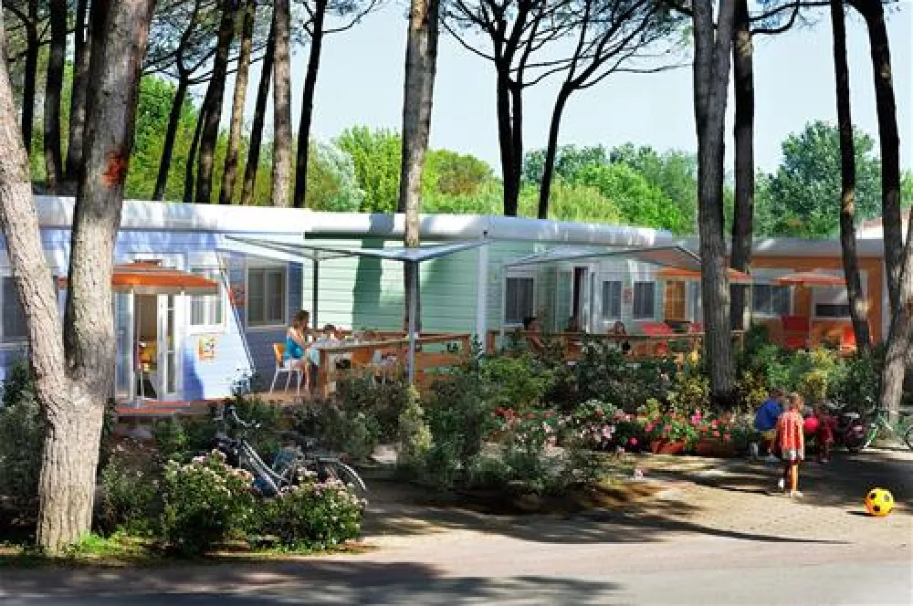 Campeggio Mediterraneo