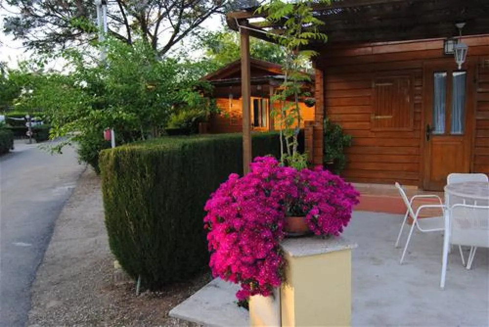 Camping la Albolafia