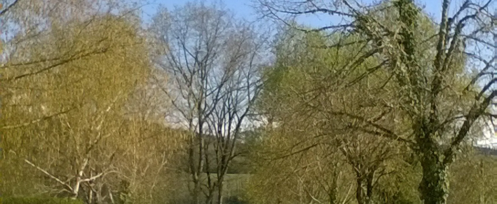 Camping Municipal Les Iles