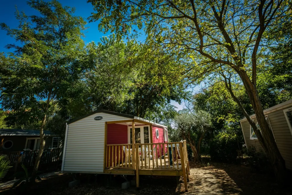 Flower Camping - Mas de Mourgues  