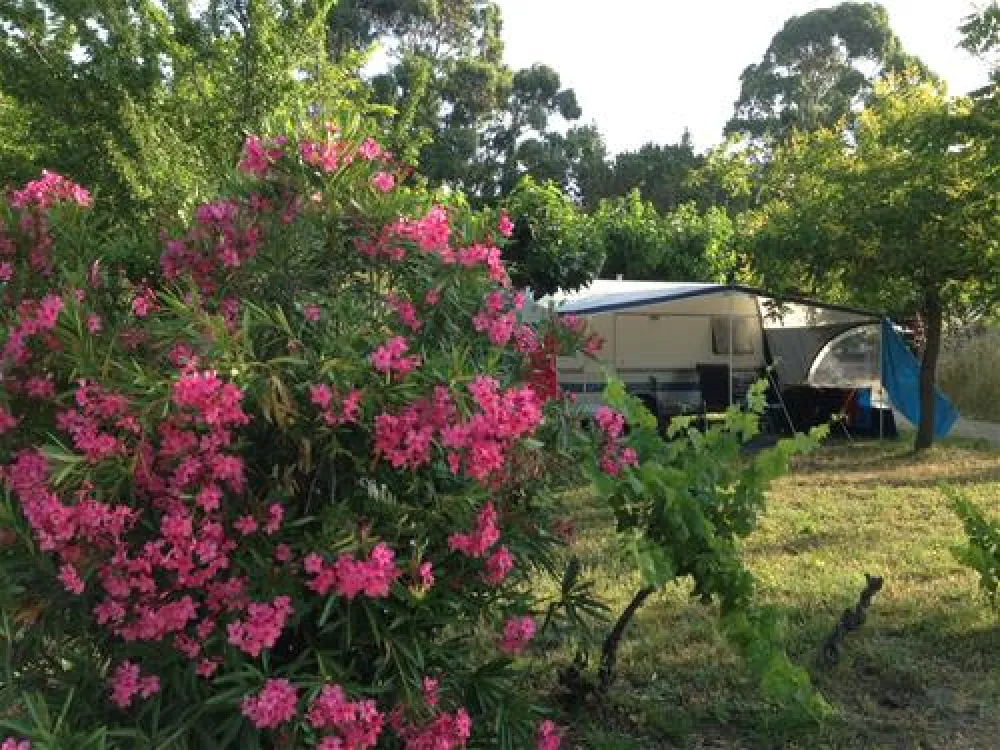 Flower Camping - Mas de Mourgues  