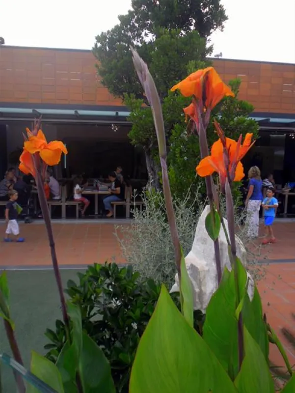 Portofelice Camping Village