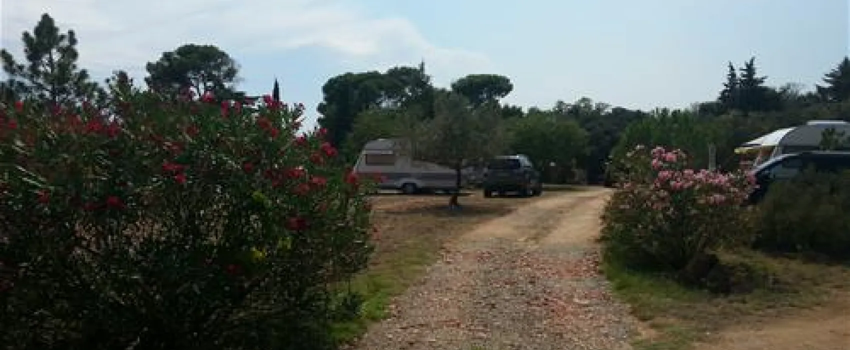 Camping Domaine De Clairac