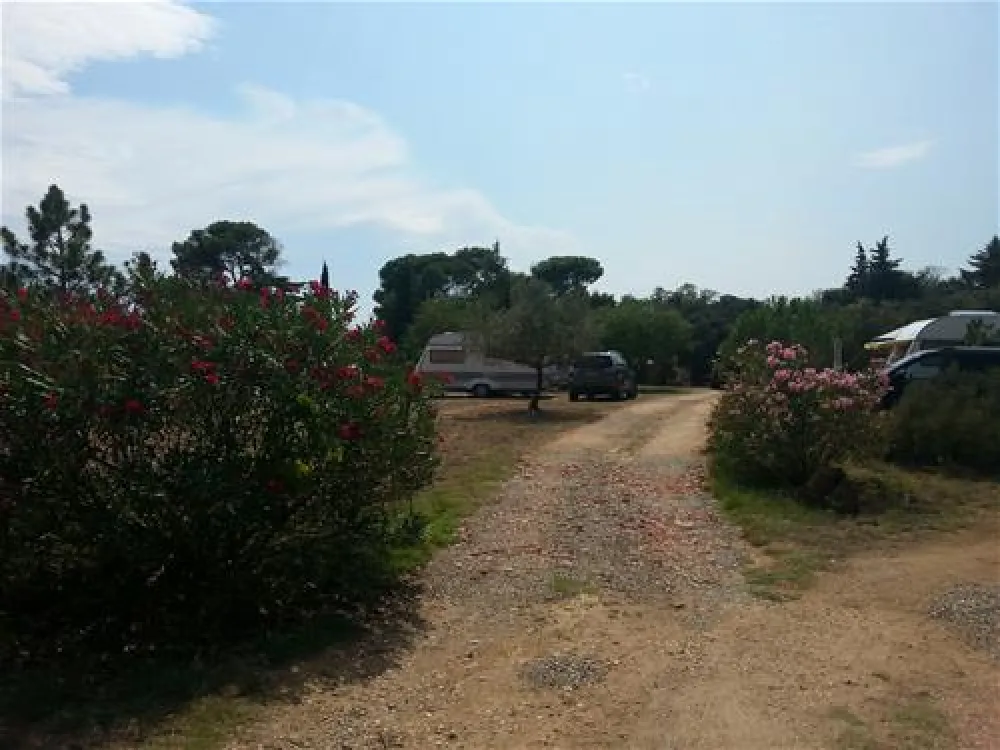 Camping Domaine De Clairac