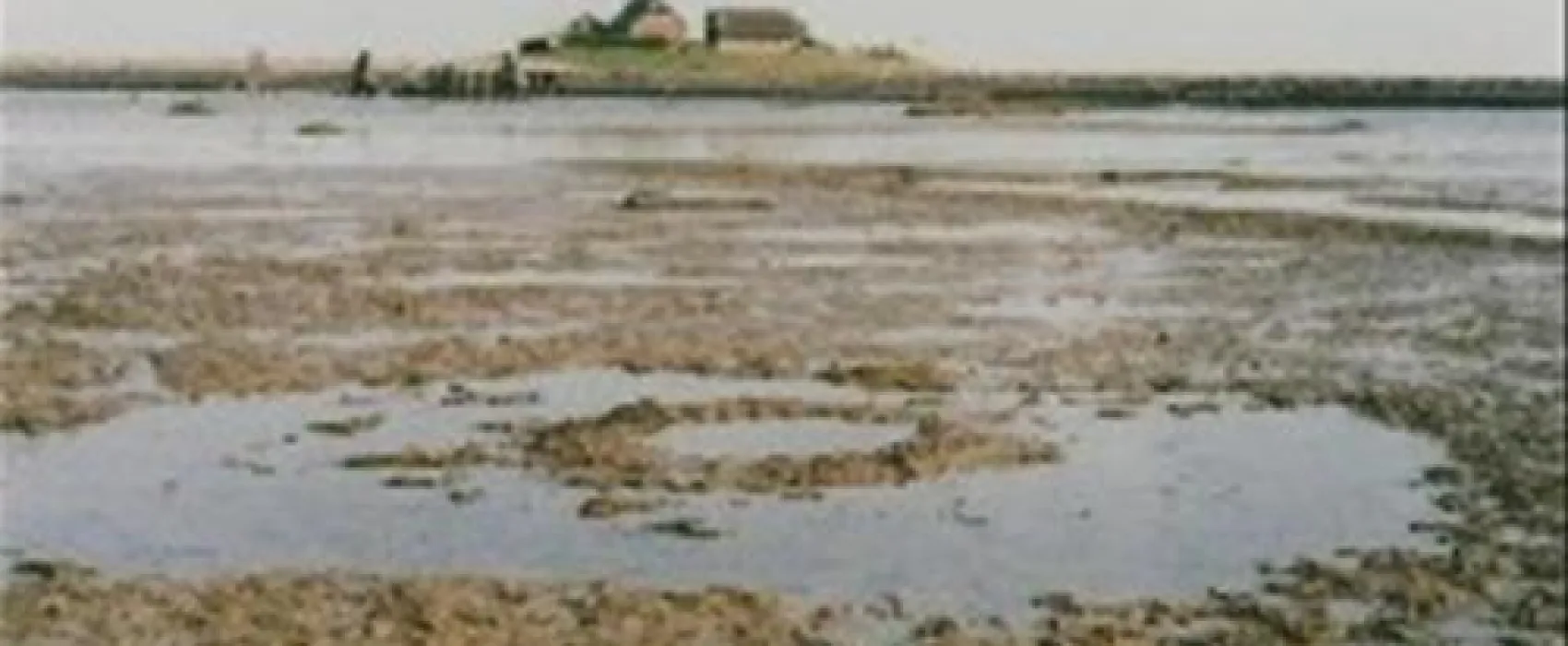 Camping Nordstrand Platz Margarethenruh