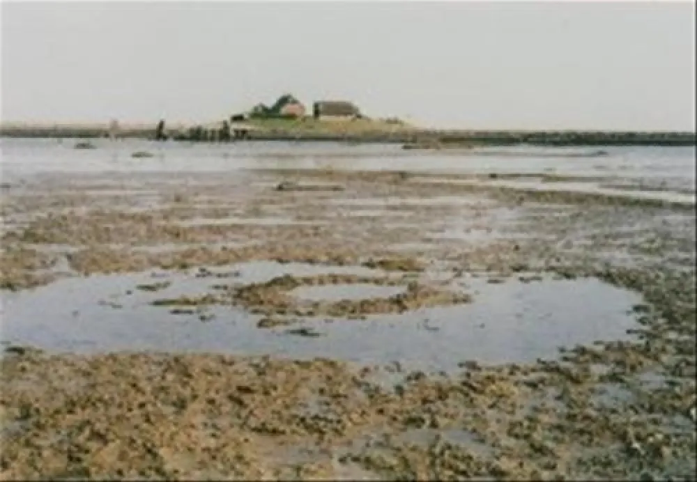 Camping Nordstrand Platz Margarethenruh