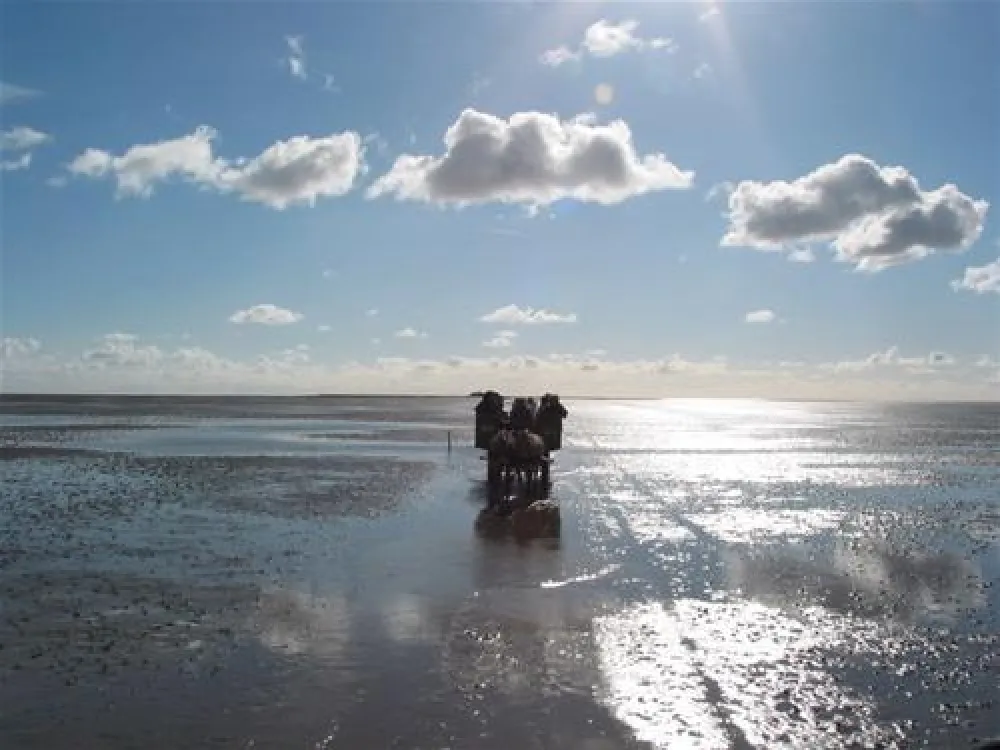 Camping Nordstrand Platz Margarethenruh