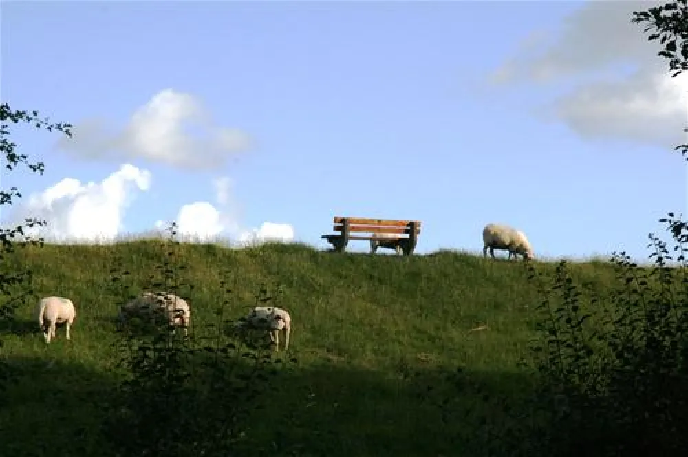 Camping Nordstrand Platz Margarethenruh