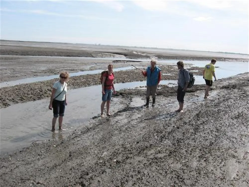 Camping Nordstrand Platz Margarethenruh