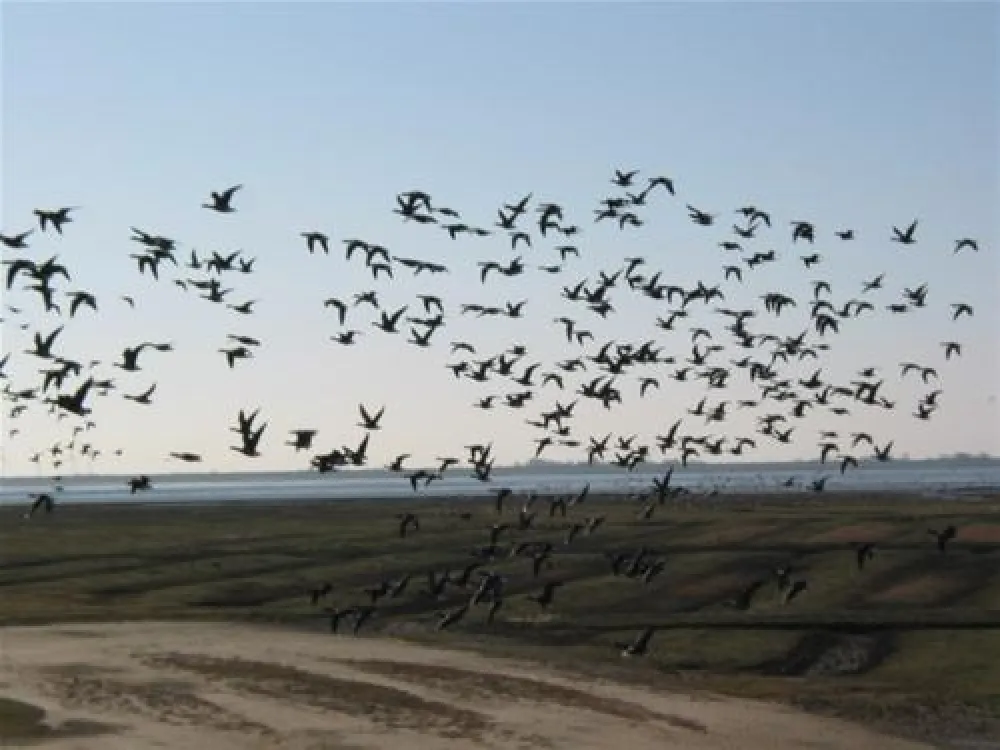 Camping Nordstrand Platz Margarethenruh