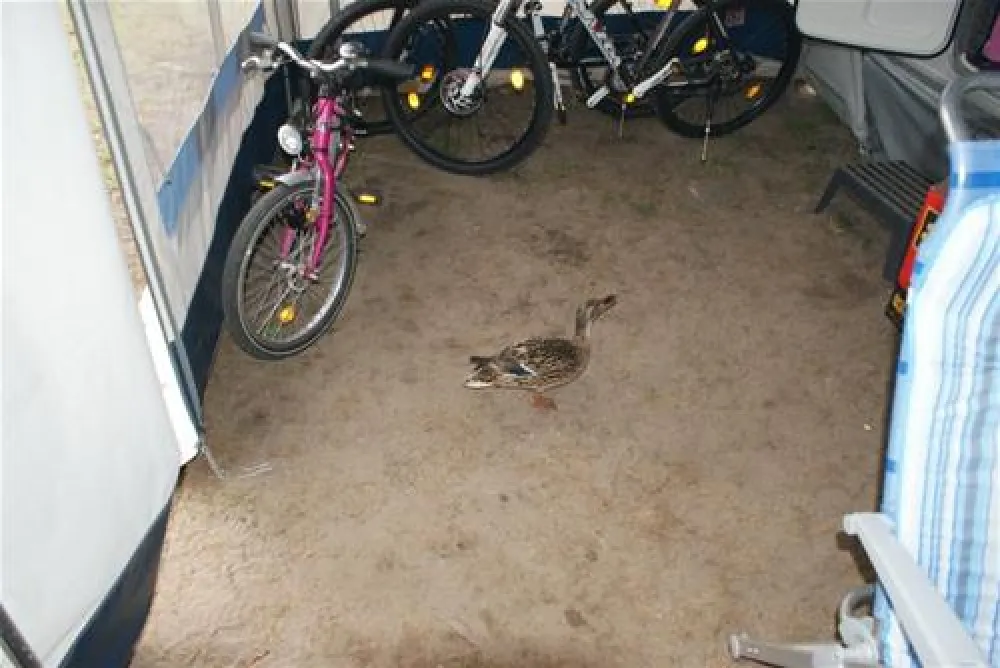 Campingplatz Krossinsee 1930 GmbH