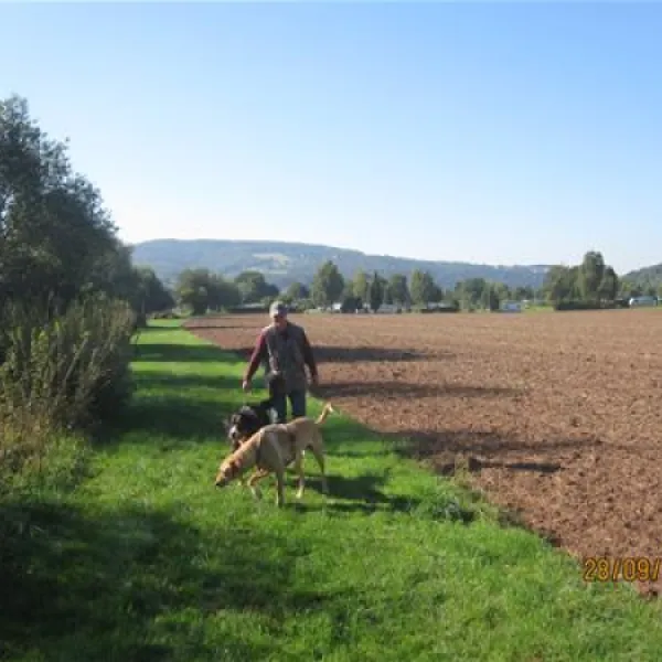 Camping Sonnenwiese in Deutschland - Spottocamp - Spottocamp