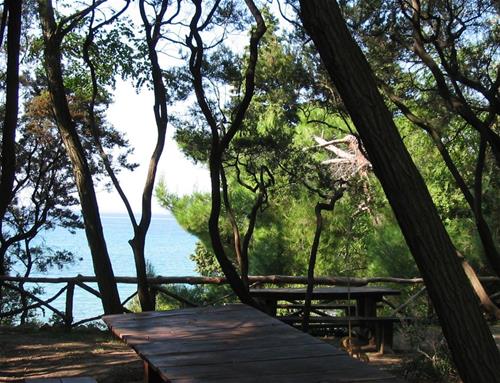 Camp Zidine - Photo 3
