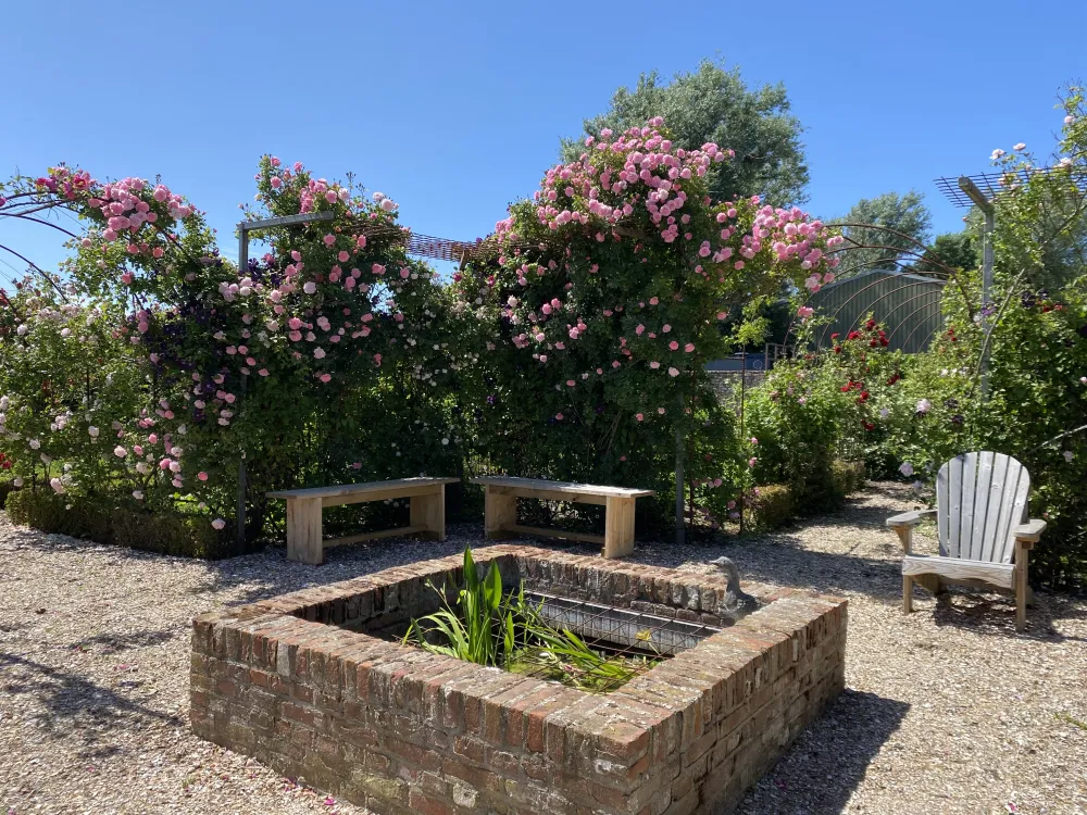 Mini camping & Kloostertuin Werendijke