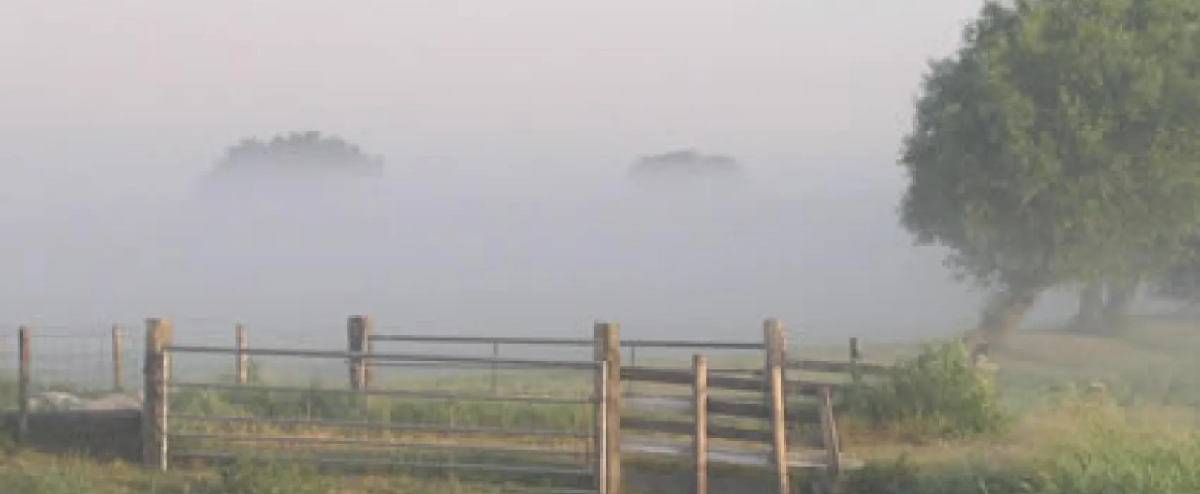 Camping De Rodenburghoeve