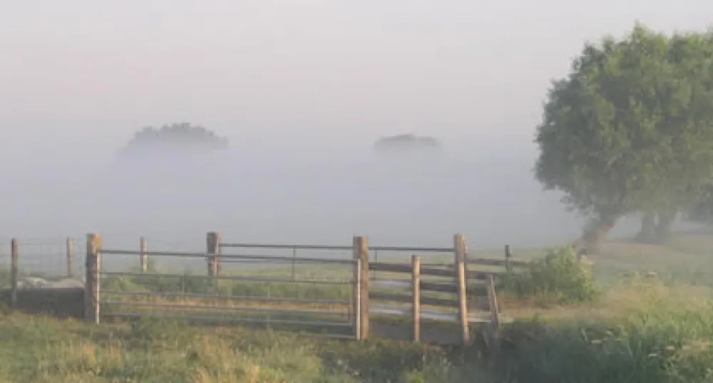 Camping De Rodenburghoeve