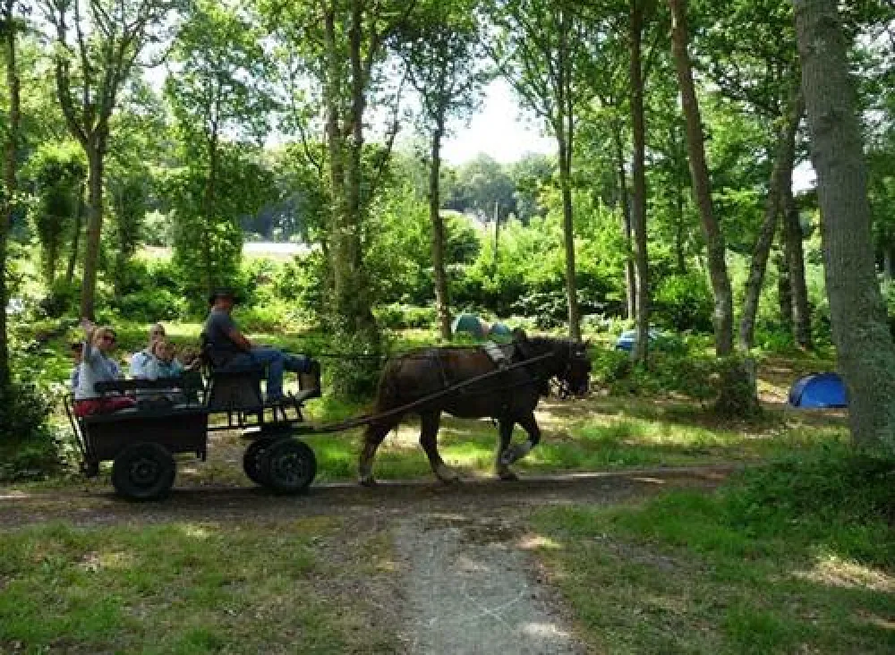 Flower Camping - La Chenaie