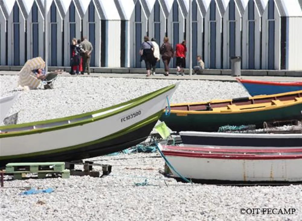 Flower Camping - La Chenaie