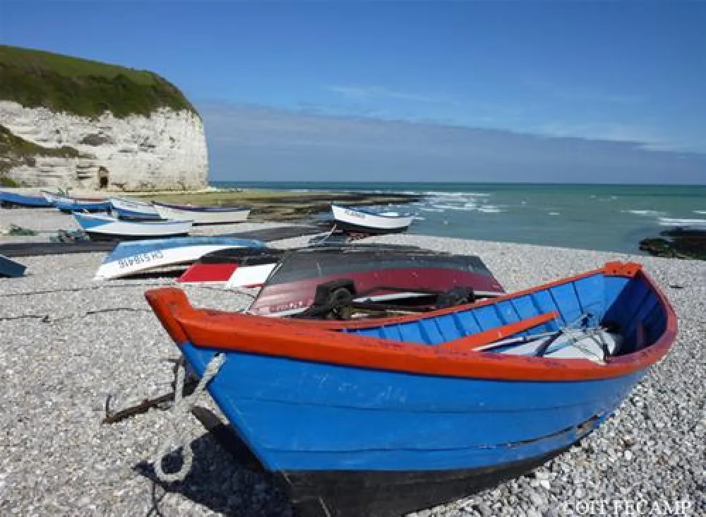 Flower Camping - La Chenaie