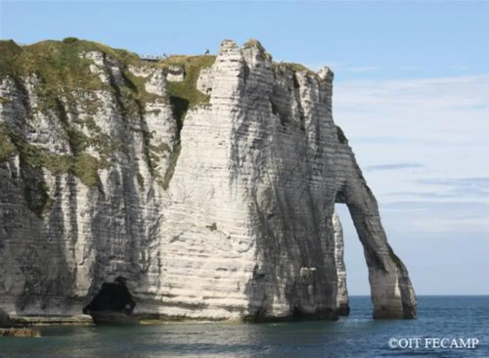 Flower Camping - La Chenaie