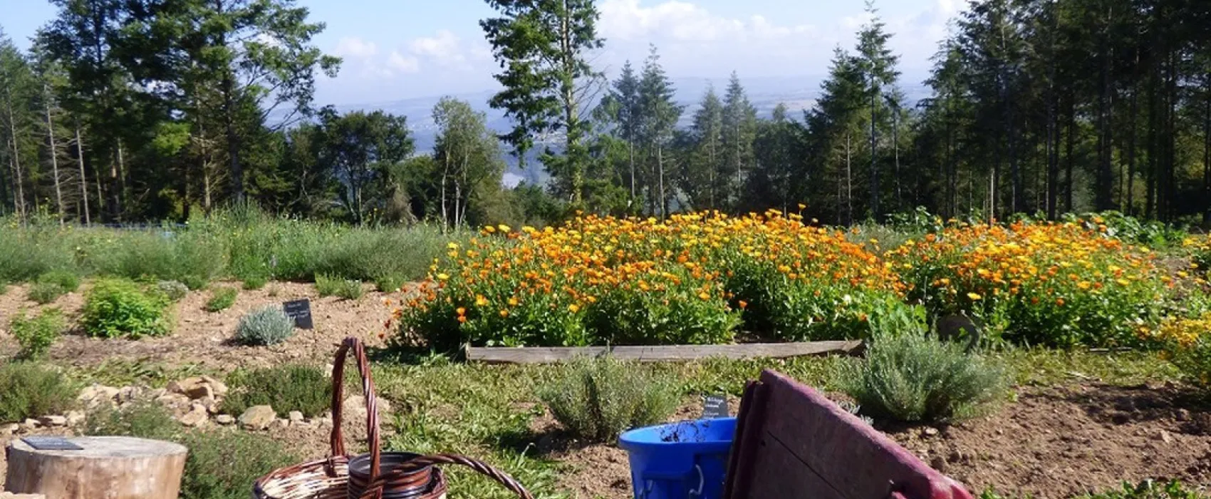 Camping de Ty Provost