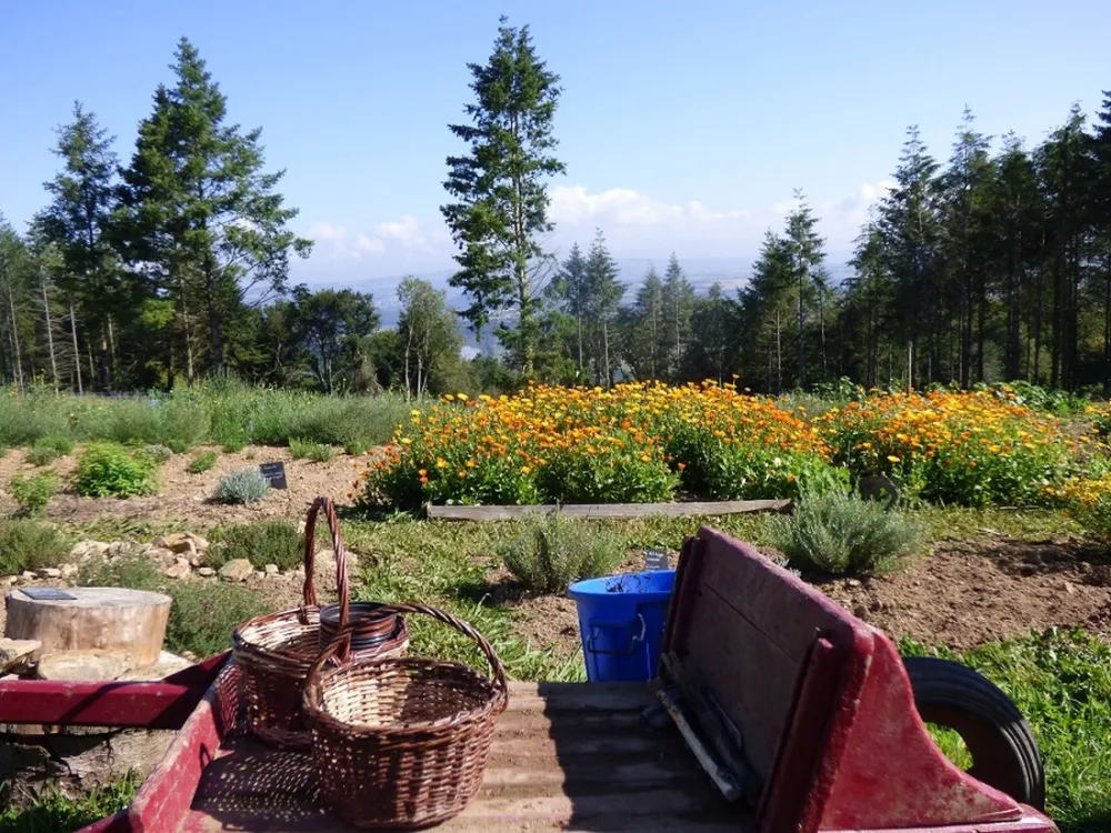 Camping de Ty Provost