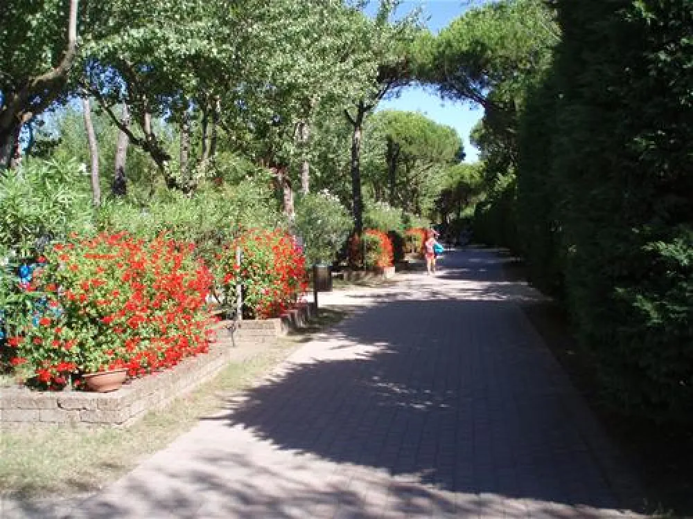 Camping Village Al Boschetto