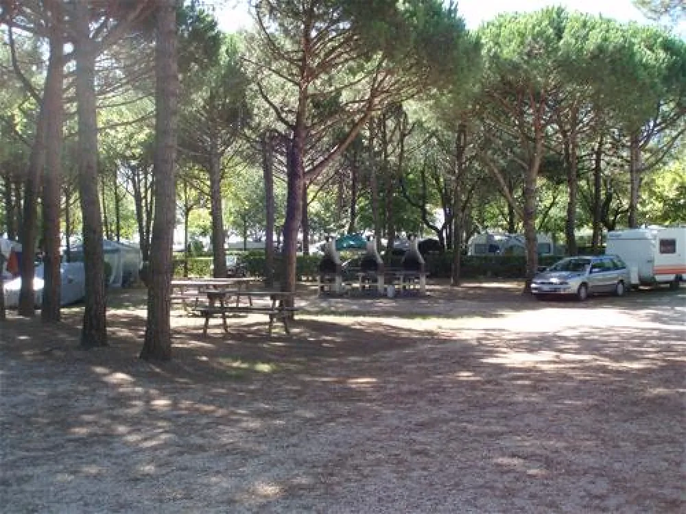 Camping Village Al Boschetto