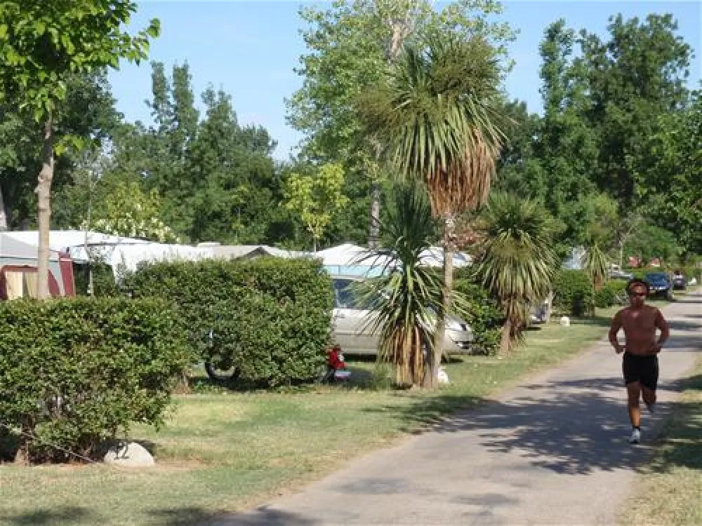Camping Les Marsouins  