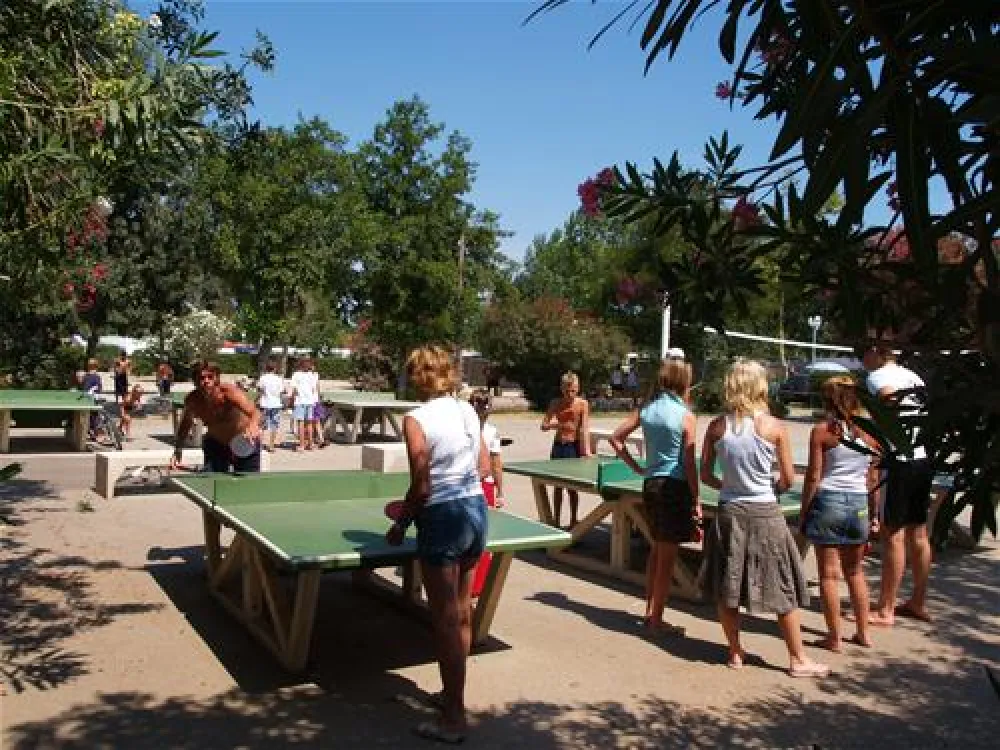 Camping Les Marsouins  