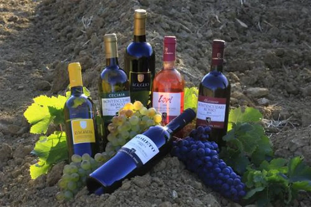 Agriturismo La Serra del Pino