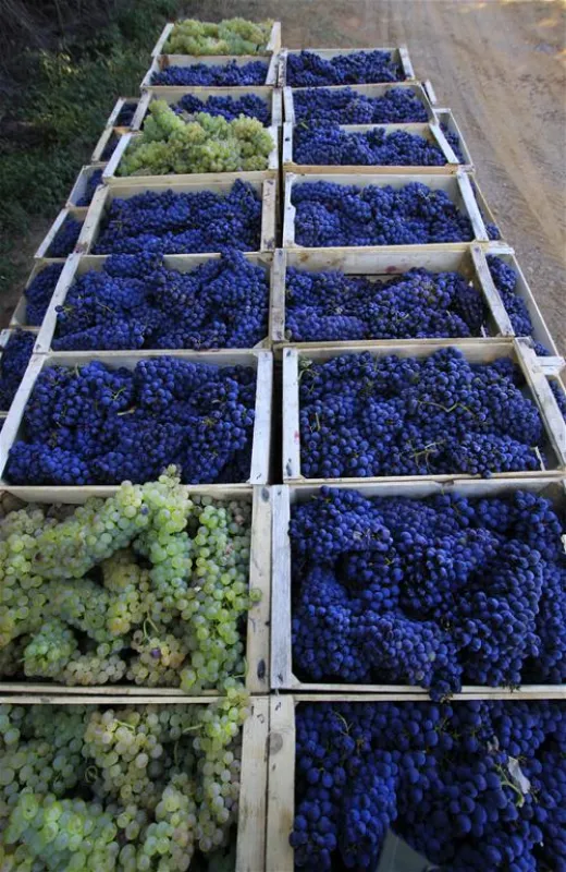 Agriturismo La Serra del Pino