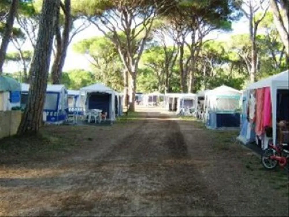 Campeggio Le Marze Boschetto Holiday