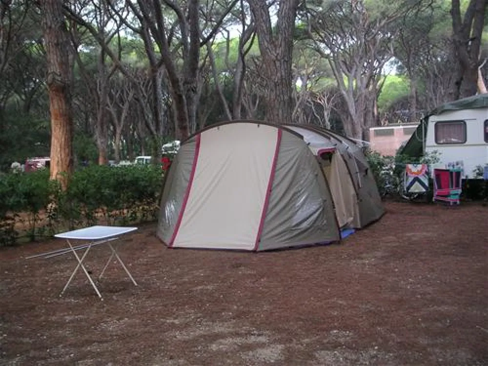 Campeggio Le Marze Boschetto Holiday