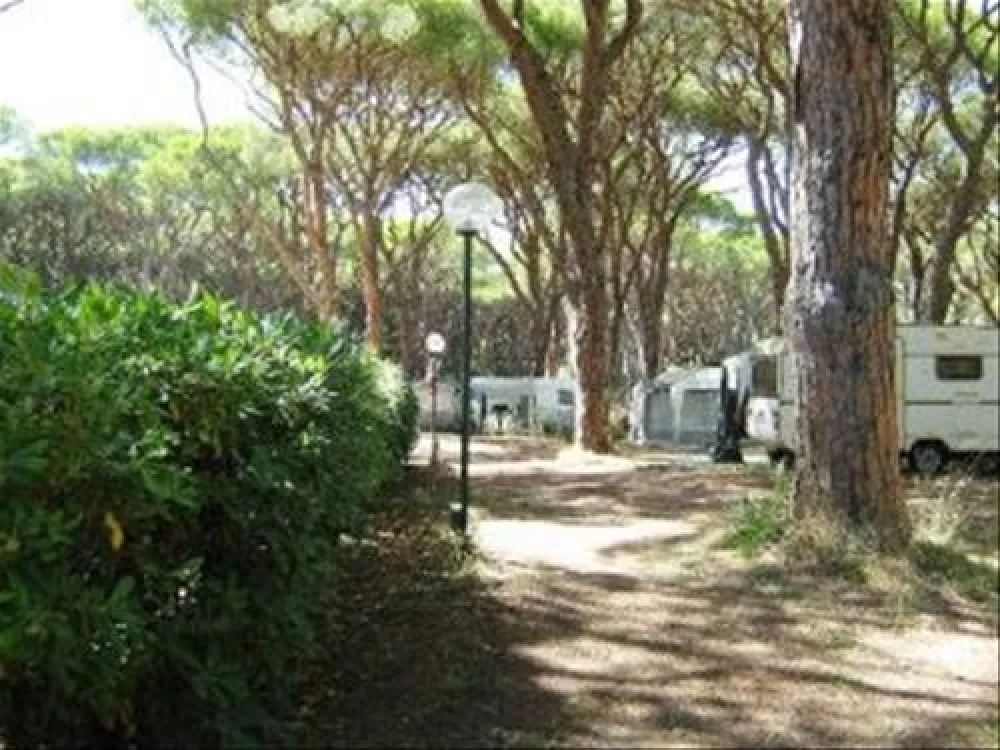 Campeggio Le Marze Boschetto Holiday