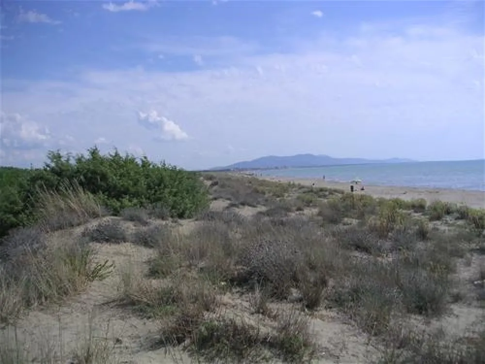 Campeggio Le Marze Boschetto Holiday