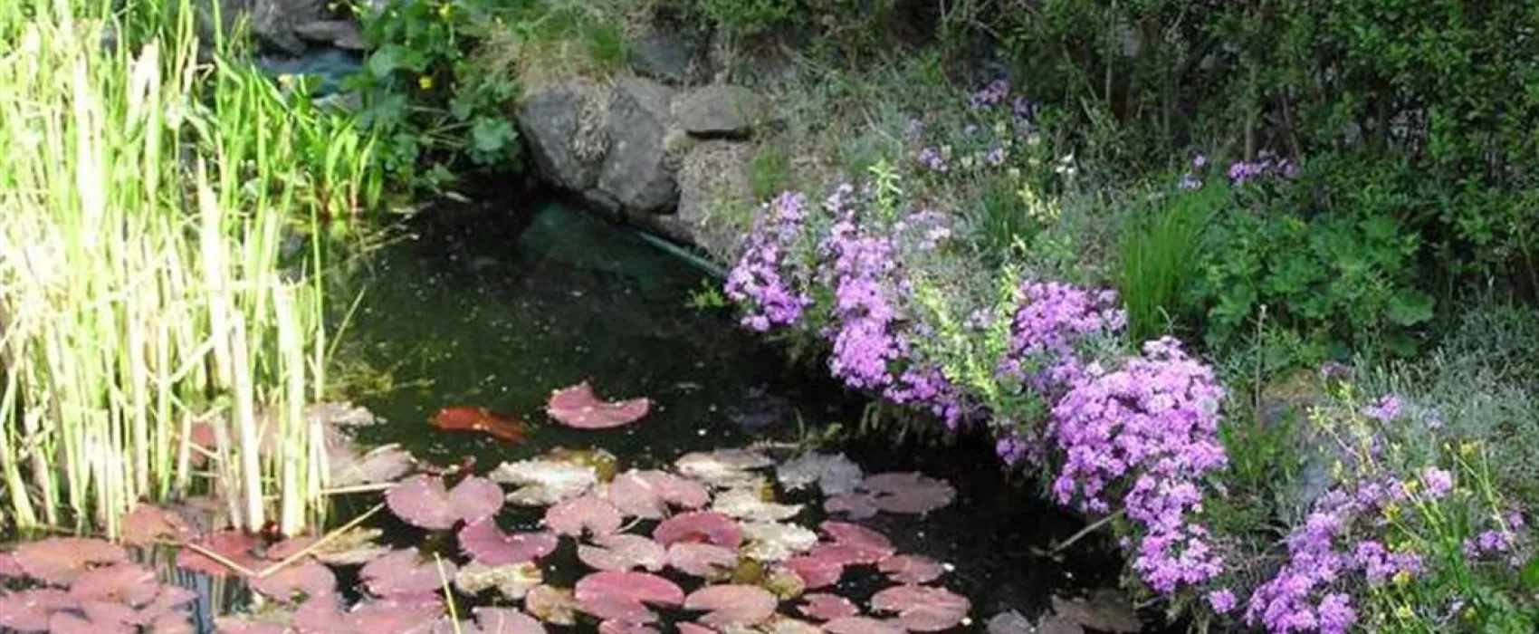 Campingpark Hochsauerland