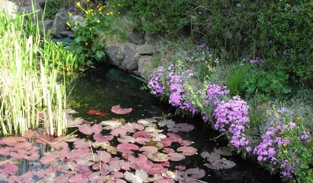 Campingpark Hochsauerland