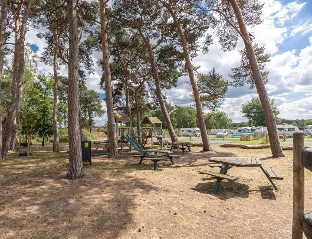 Pinecones Caravan and Camping