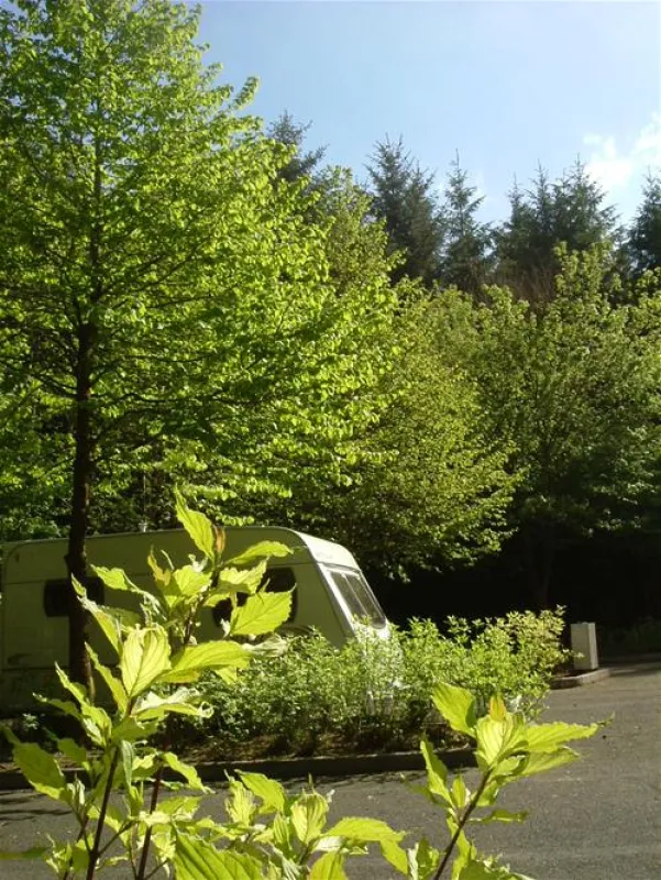 Beecraigs Caravan and Camping Site