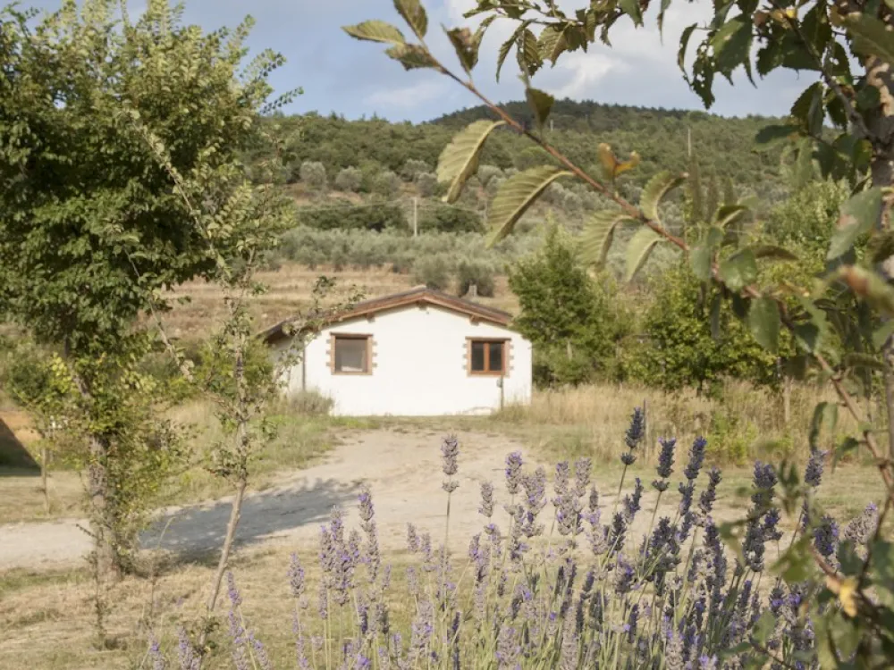 Agricampeggio Il Saregeto