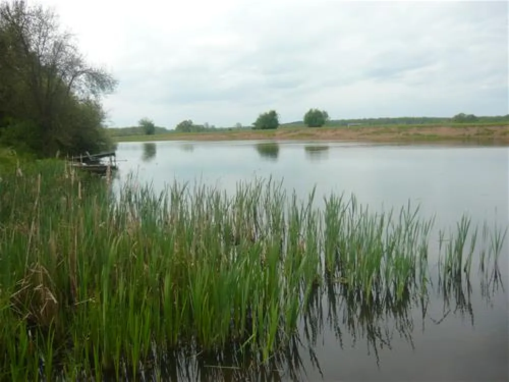 Campingplatz Ahlden S&R Homfeld GbR