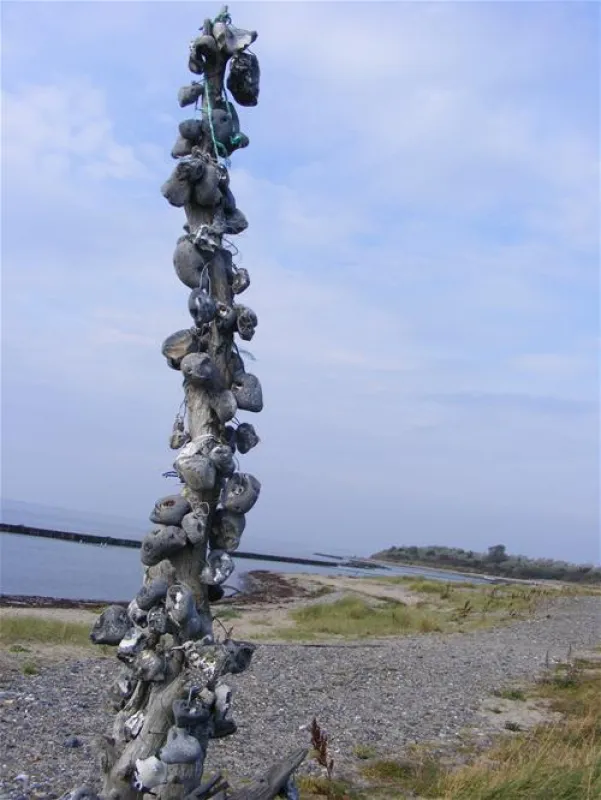 Caravancamp Ostseeblick