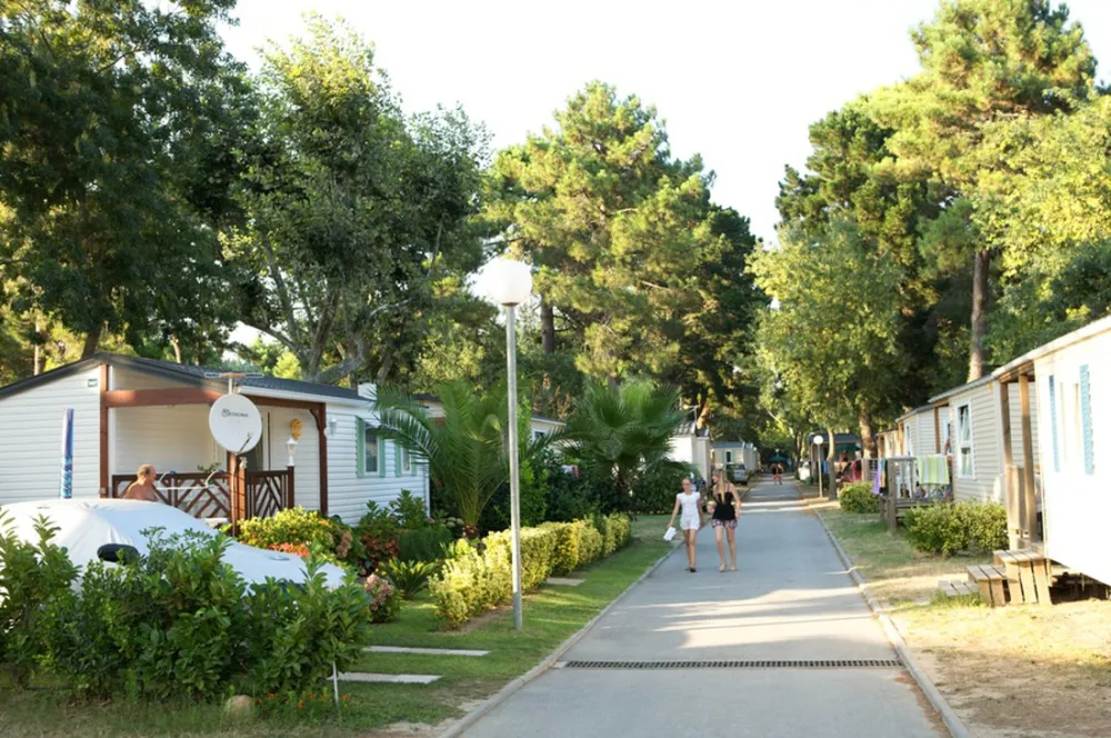 Camping Le Littoral  *****