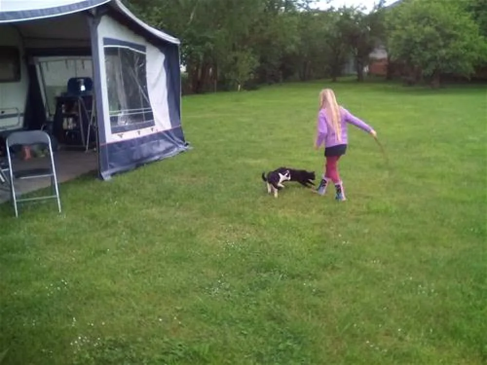 Erster Waldviertler Kinderbauernhof Camping