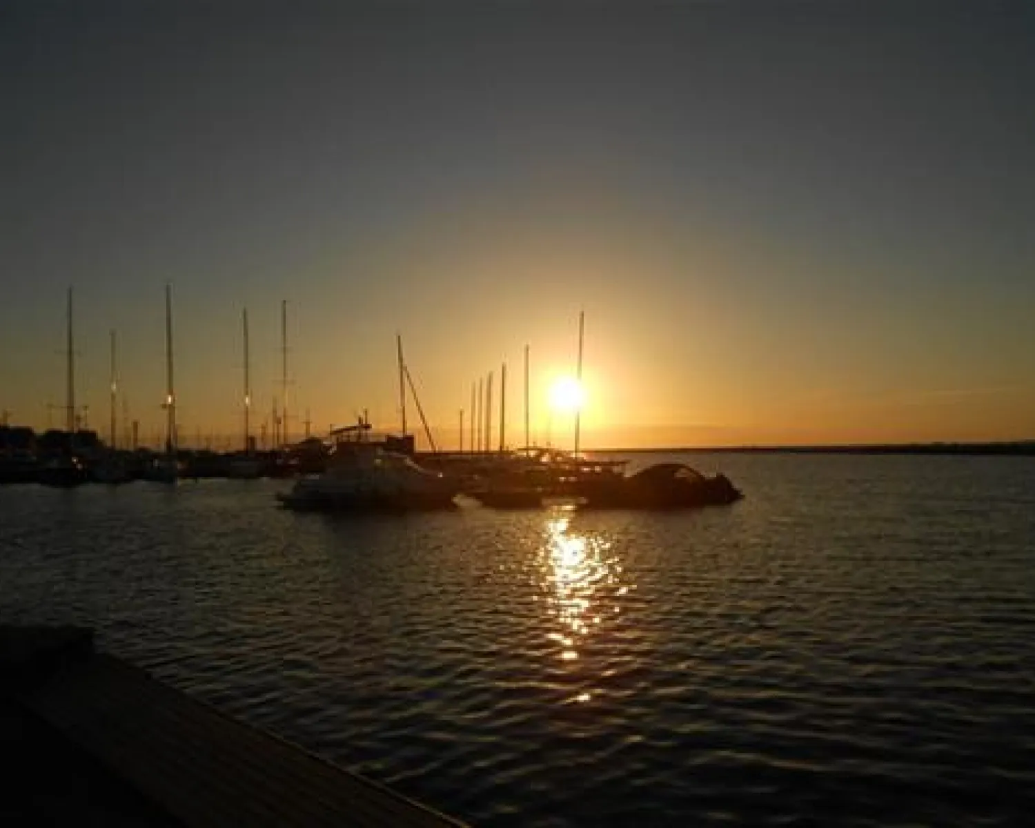 Tallin City Camping in Estonia - Spottocamp - Spottocamp