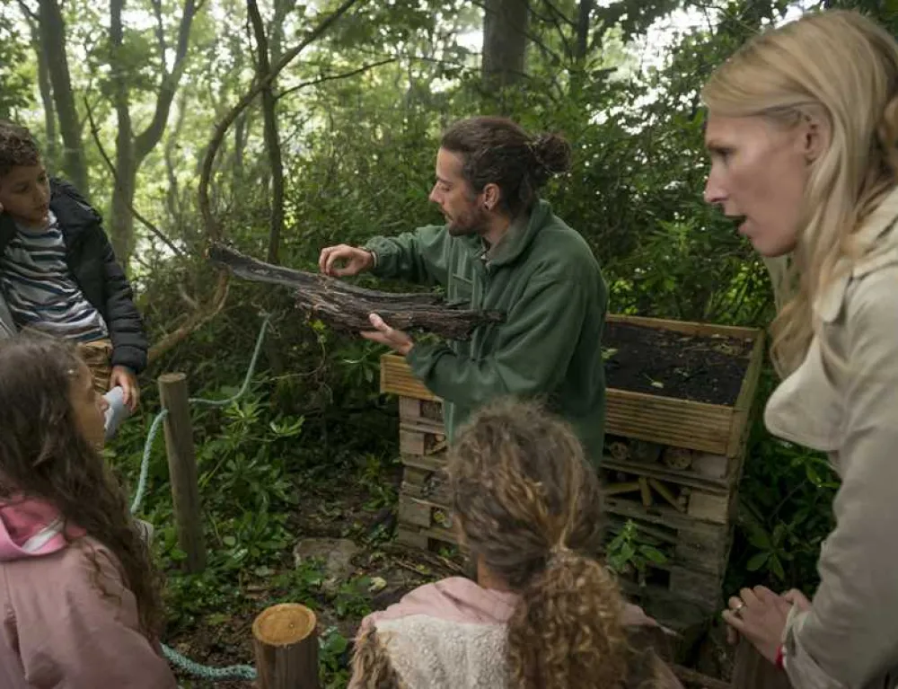 Twitchen House Holiday Park